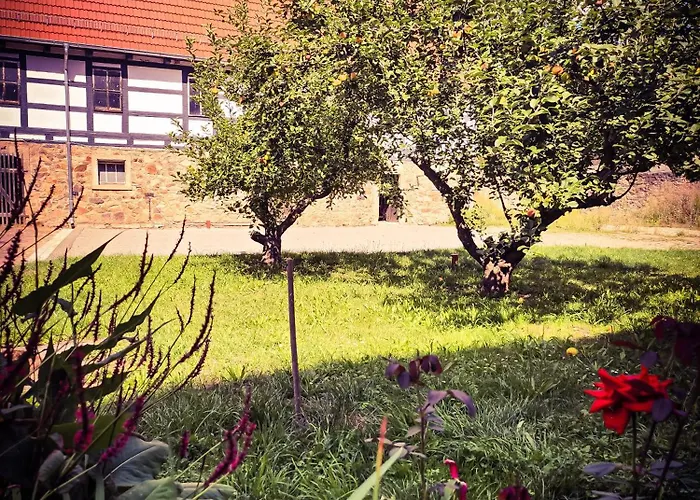 Guest house Schwalbenhof *